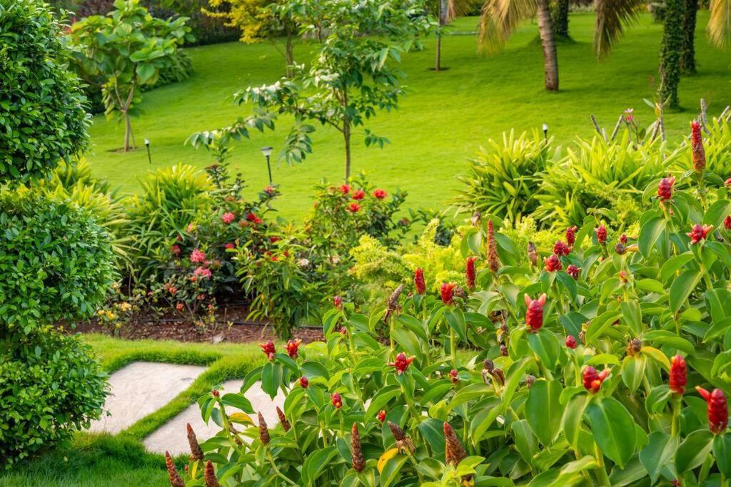Villa Woods & Palms Pollāchi Εξωτερικό φωτογραφία